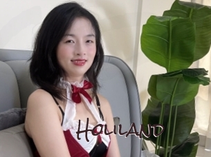holiland Spicy Blogs