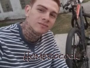 Homerocock