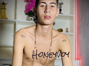 honeyvoy Spicy Blogs