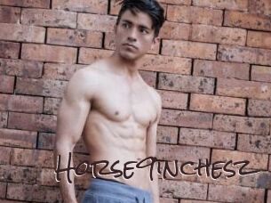 Horse9inchesz