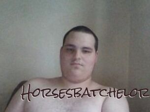 Horsesbatchelor