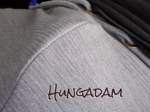 hungadam Spicy Blogs