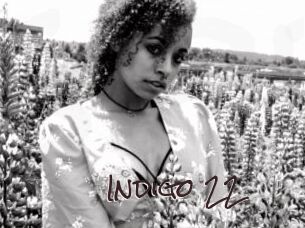 Indigo_22