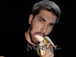 Itsgelviz