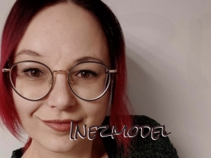 Inezmodel