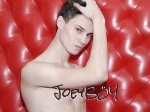 JoeyB0Y