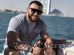JoshuaCartier Spicy Blogs