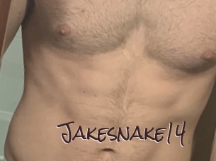 Jakesnake14