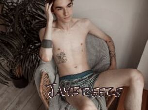 Jaybreeze