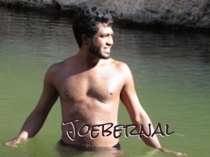 joebernal Spicy Blogs
