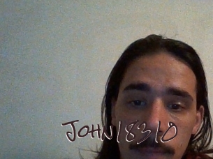 John18310
