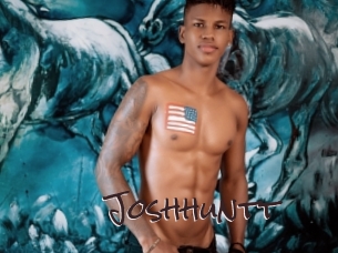 joshhuntt Spicy Blogs