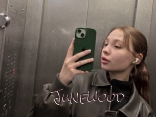 junewood Spicy Blogs
