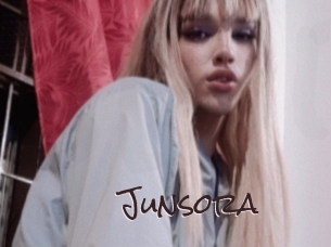 junsora Spicy Blogs
