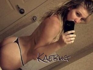 Kaebug