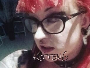 Kitten6
