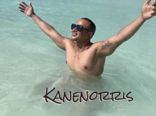 kanenorris Spicy Blogs