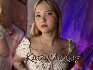 Karinacane
