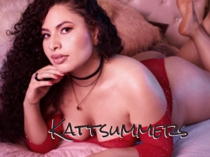 kattsummers Spicy Blogs