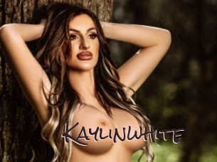 kaylinwhite Spicy Blogs