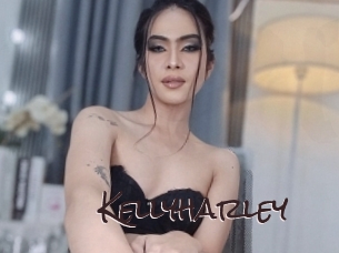 kellyharley Spicy Blogs