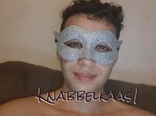 Knabbelkaas1