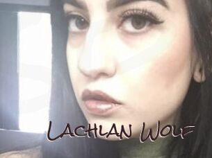 Lachlan_Wolf