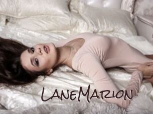 LaneMarion Spicy Blogs