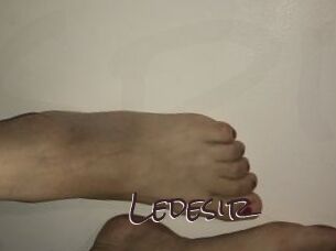 Ledesir