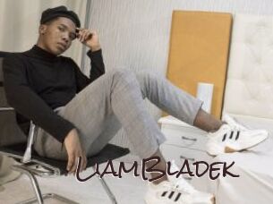 LiamBladek