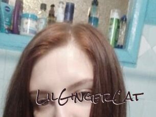 LilGingerCat
