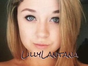 LillyLantana