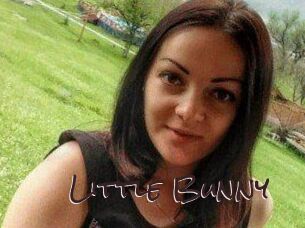 Little_Bunny_
