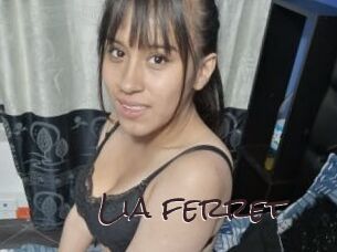 Lia_ferret