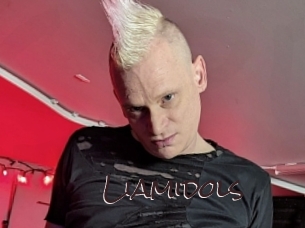 liamidols Spicy Blogs