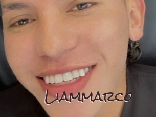 liammarco Spicy Blogs