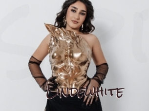 lindewhite Spicy Blogs