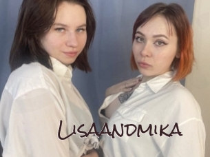 Lisaandmika
