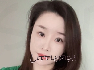 littlefish Spicy Blogs