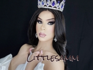 Littlesamm
