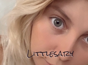 littlesary Spicy Blogs