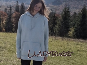Lladybugg