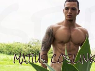 MATIUS_COSLINK