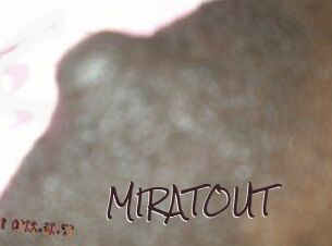 MIRATOUT Spicy Blogs