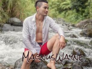 MagnusWayne