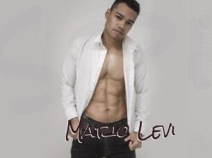 Mario_Levi