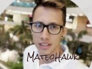 MateoHawk