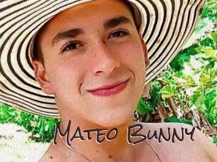 Mateo_Bunny