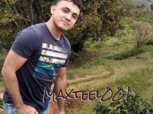 Maxteel001