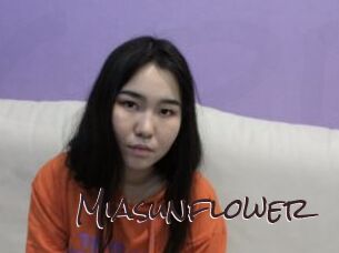 Miasunflower